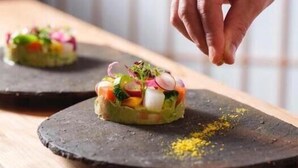 Villa | Food and drink - Hogetsu (Kagoshima)