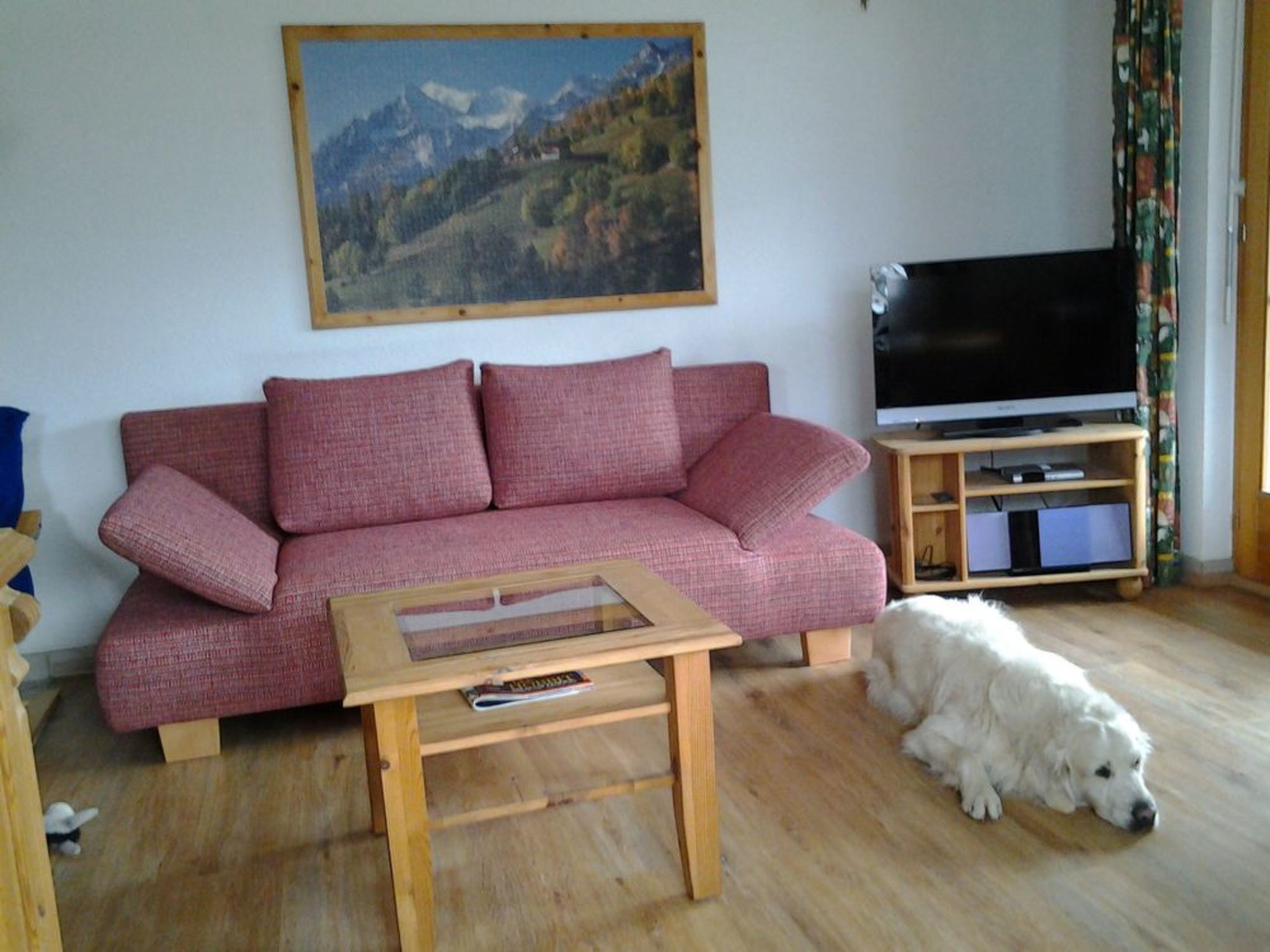Ein Wohnzimmer mit einem roten Sofa, einem Holztisch, einer TV-Bank mit Flachbildfernseher und einem weißen Hund, der auf dem Boden liegt.