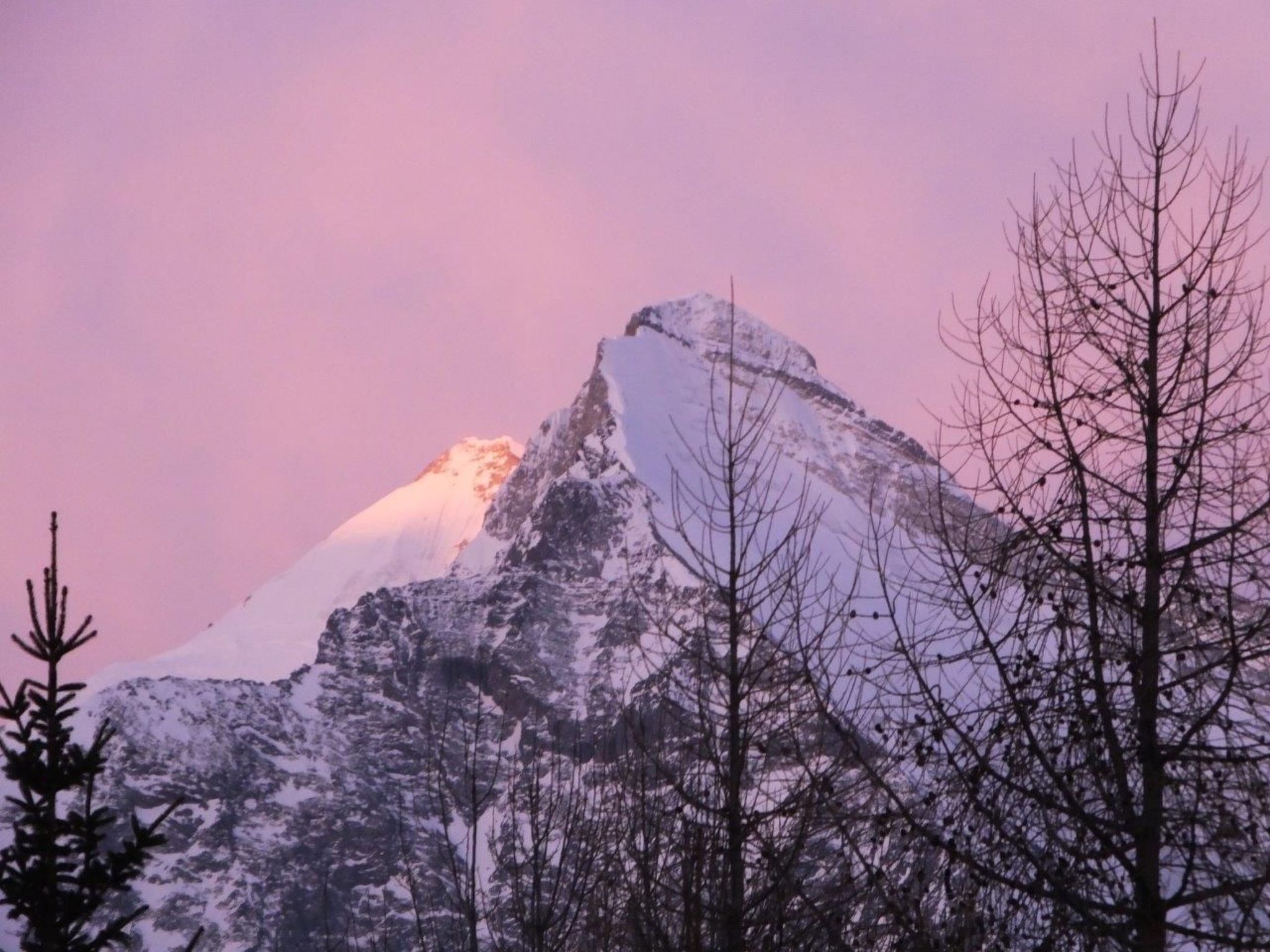 A snow-covered mountain peak with a clear sky.