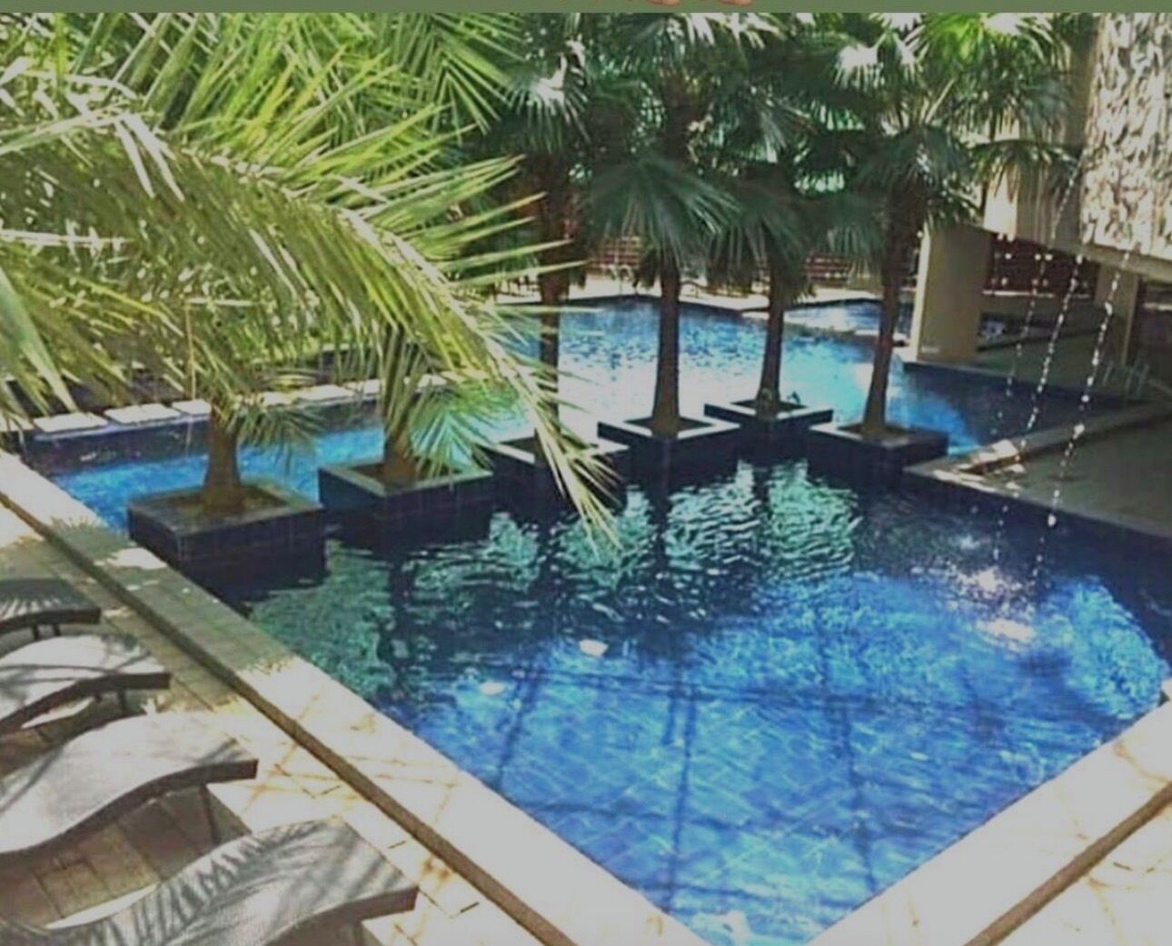 Une piscine bordée de palmiers et dotée de chaises longues.
