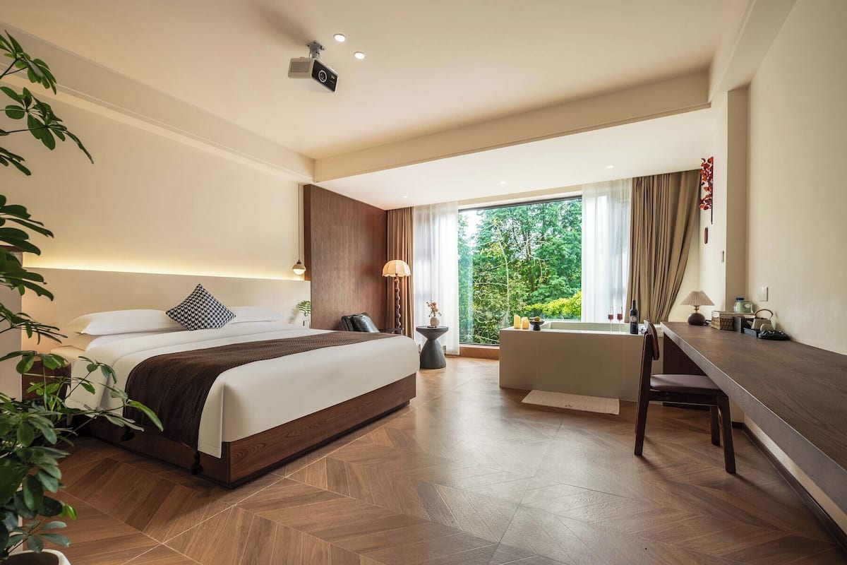 Classic Double Room, Park View