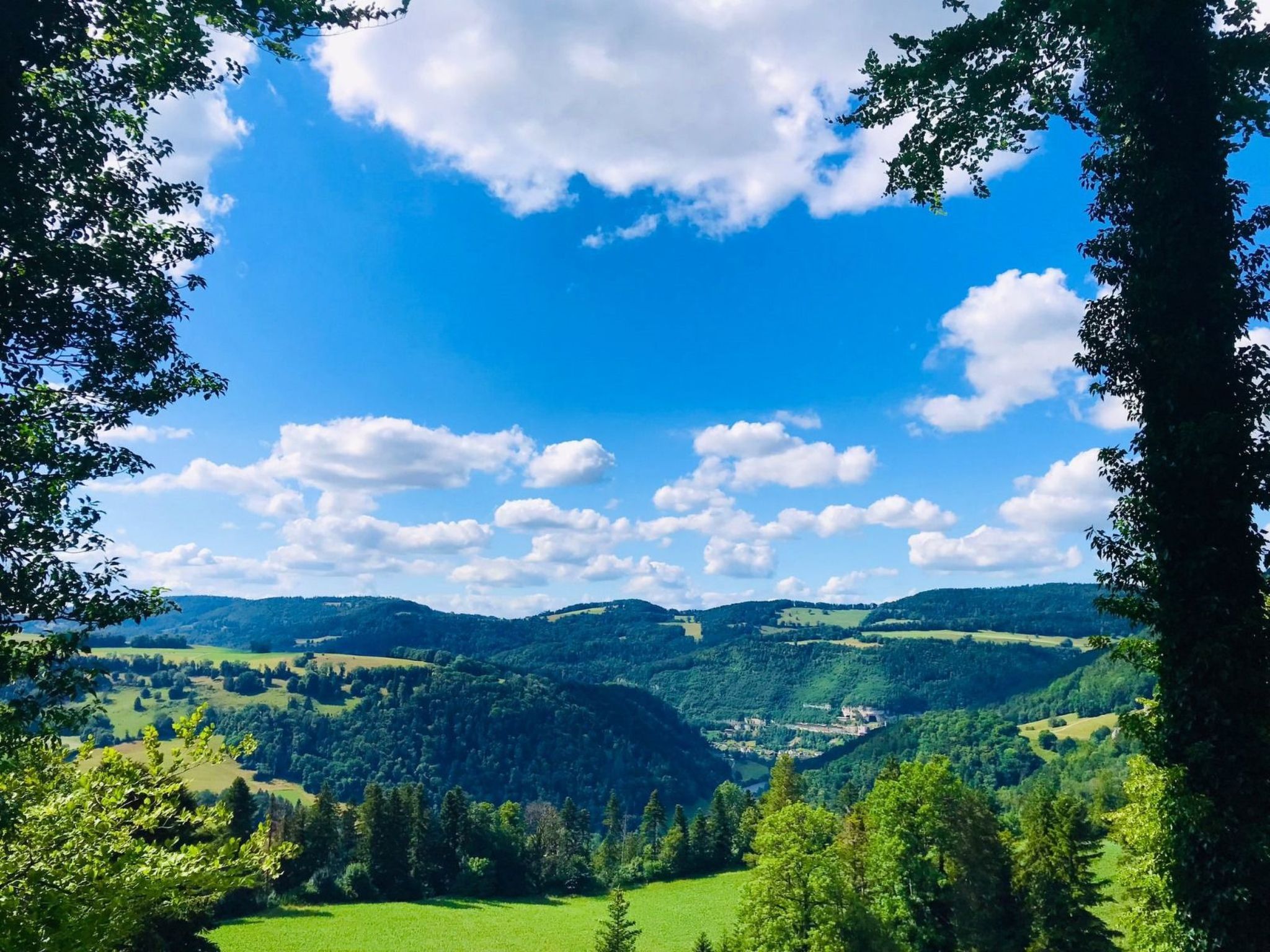 Vista panorámica de un valle exuberante con colinas ondulantes y un cielo azul despejado.
