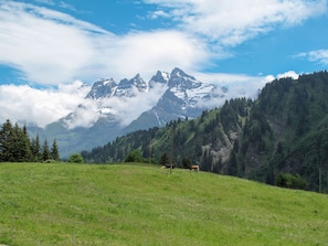 Ein grasbewachsenes Feld mit einem Bergkamm im Hintergrund.