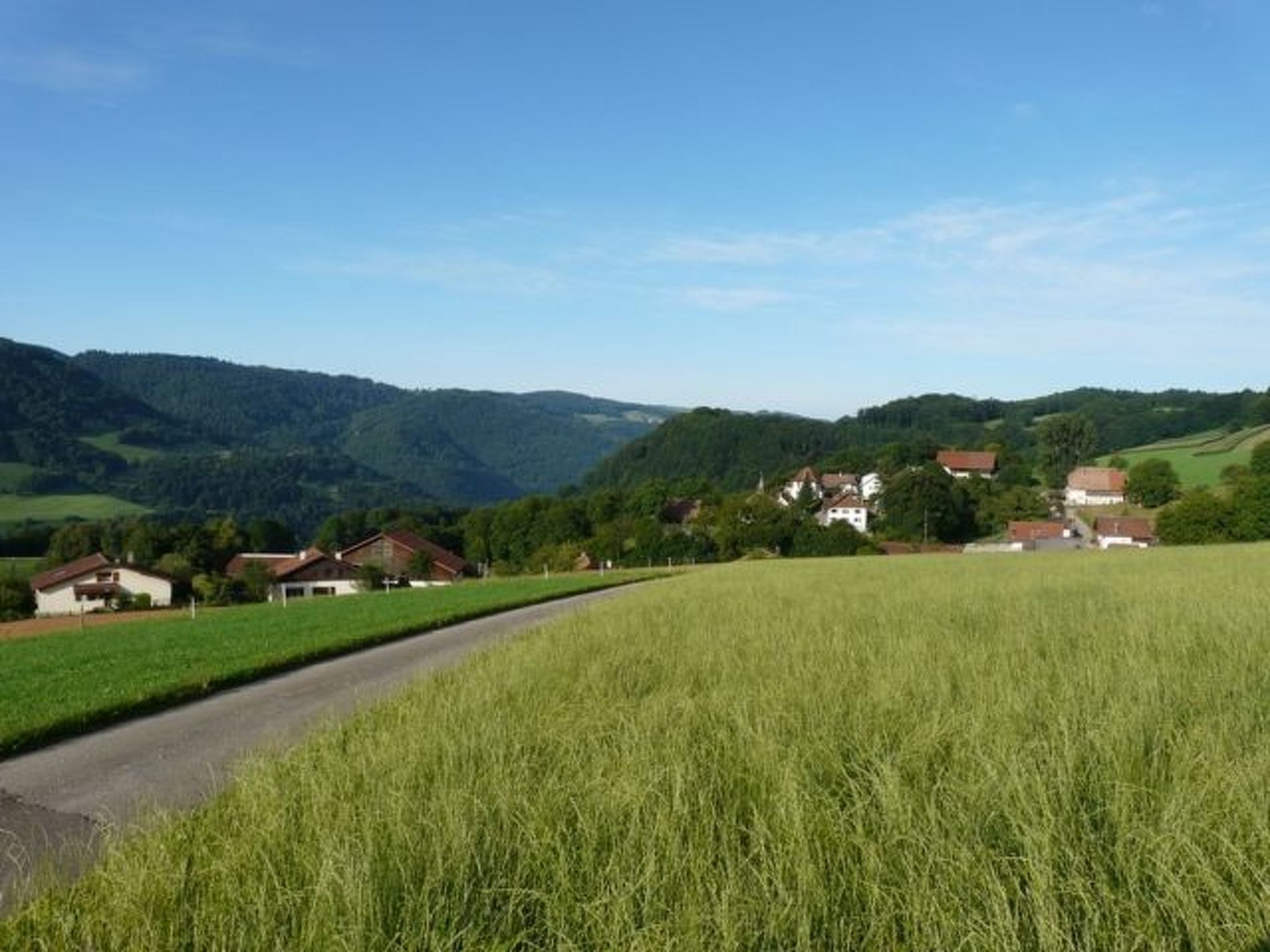 Ländliche Landschaft mit einer Straße, grünen Feldern und Häusern im Hintergrund.