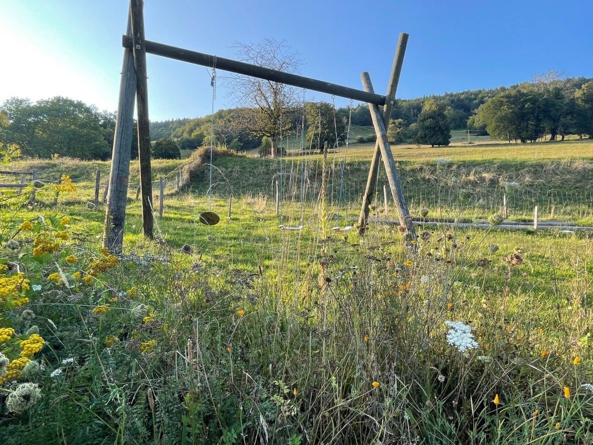 Un paysage rural avec une balançoire en bois, des champs couverts d’herbe et des arbres en arrière-plan.