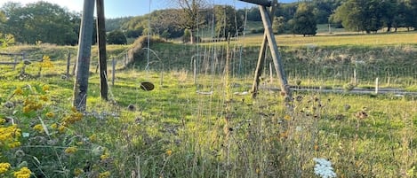 Un paysage rural avec une balançoire en bois, des champs couverts d’herbe et des arbres en arrière-plan.