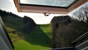 A view through a skylight of a green landscape with trees and a hill. - Appartements - Ferme La Joux-Chaupe, (St-Ursanne), by Interhome (Saint-Ursanne)