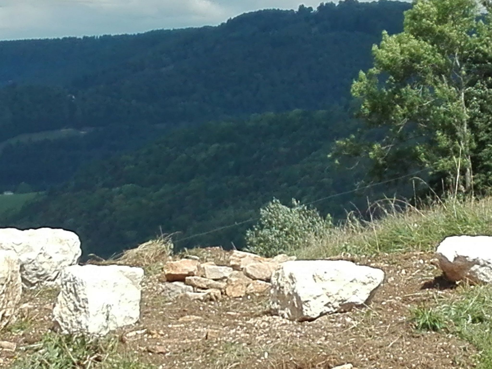 Un paysage montagneux avec un sentier de pierres qui traverse une zone herbeuse.