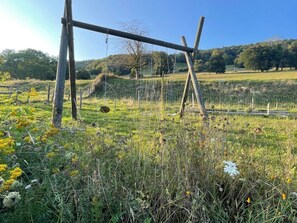 Paesaggio rurale con un'altalena di legno in un campo fiorito.