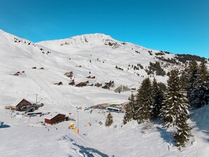 Deportes de invierno y ski
