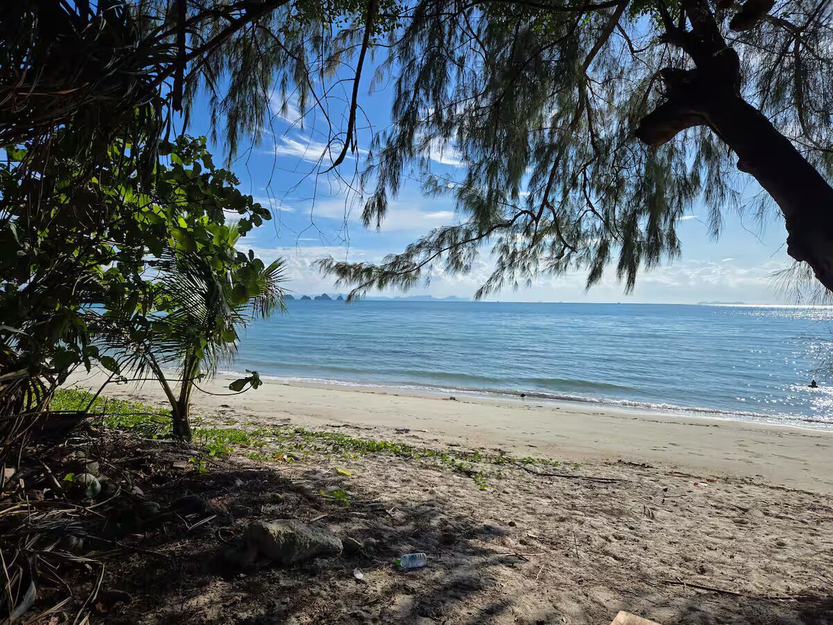 A beach with clear water, a sandy shore, and a tree in the foreground.