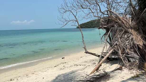 Una playa con agua turquesa cristalina, orilla de arena y una palmera.