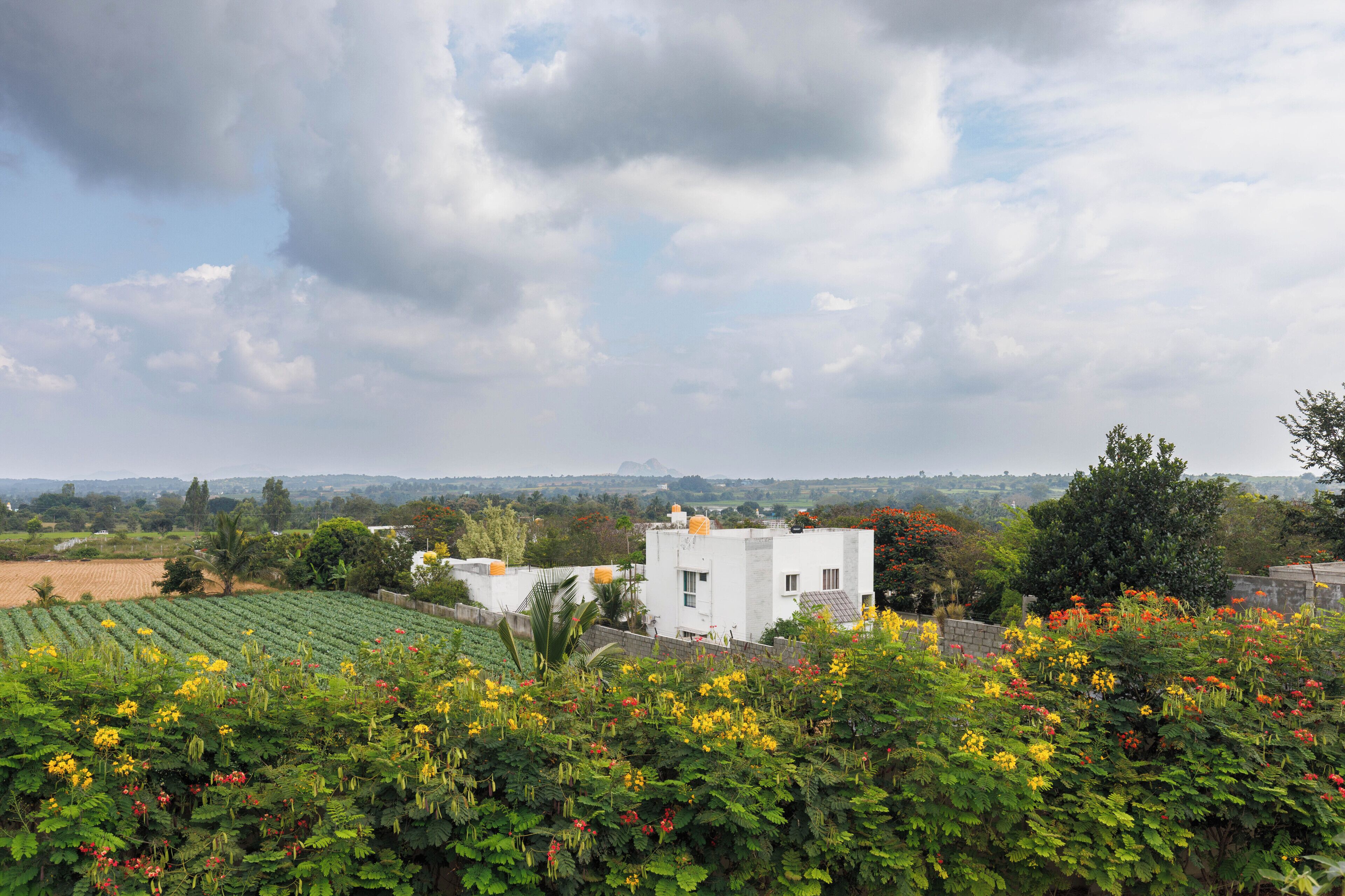 Un bâtiment blanc, doté d’un toit plat, entouré de champs verdoyants et de plantes en fleurs.