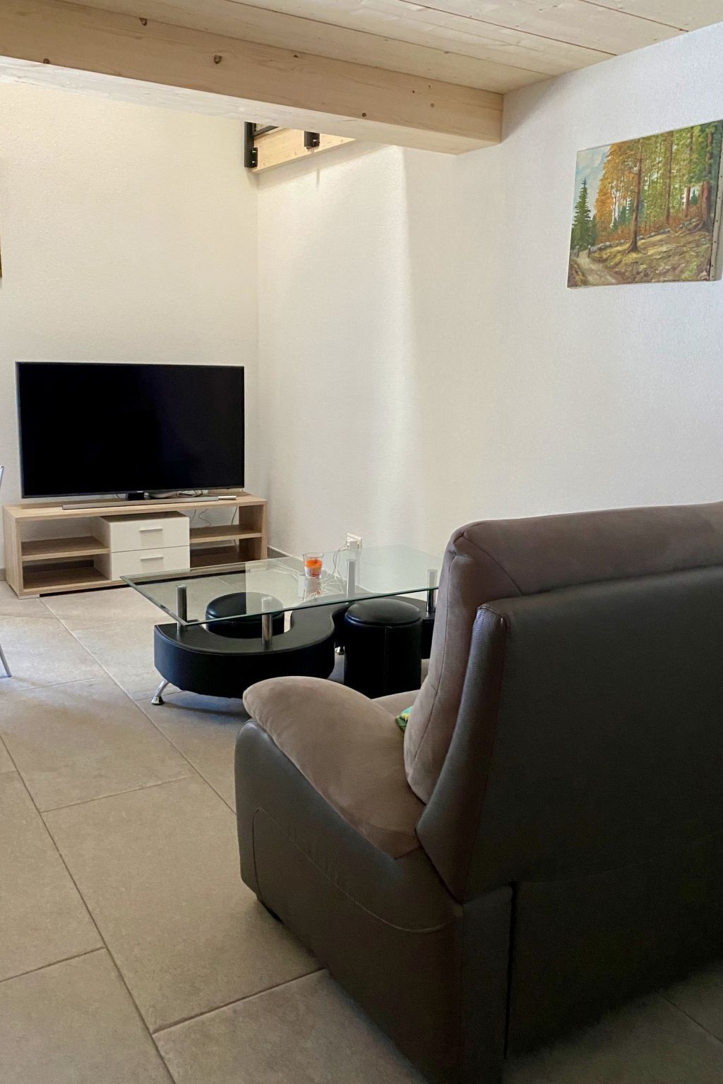Televisor 