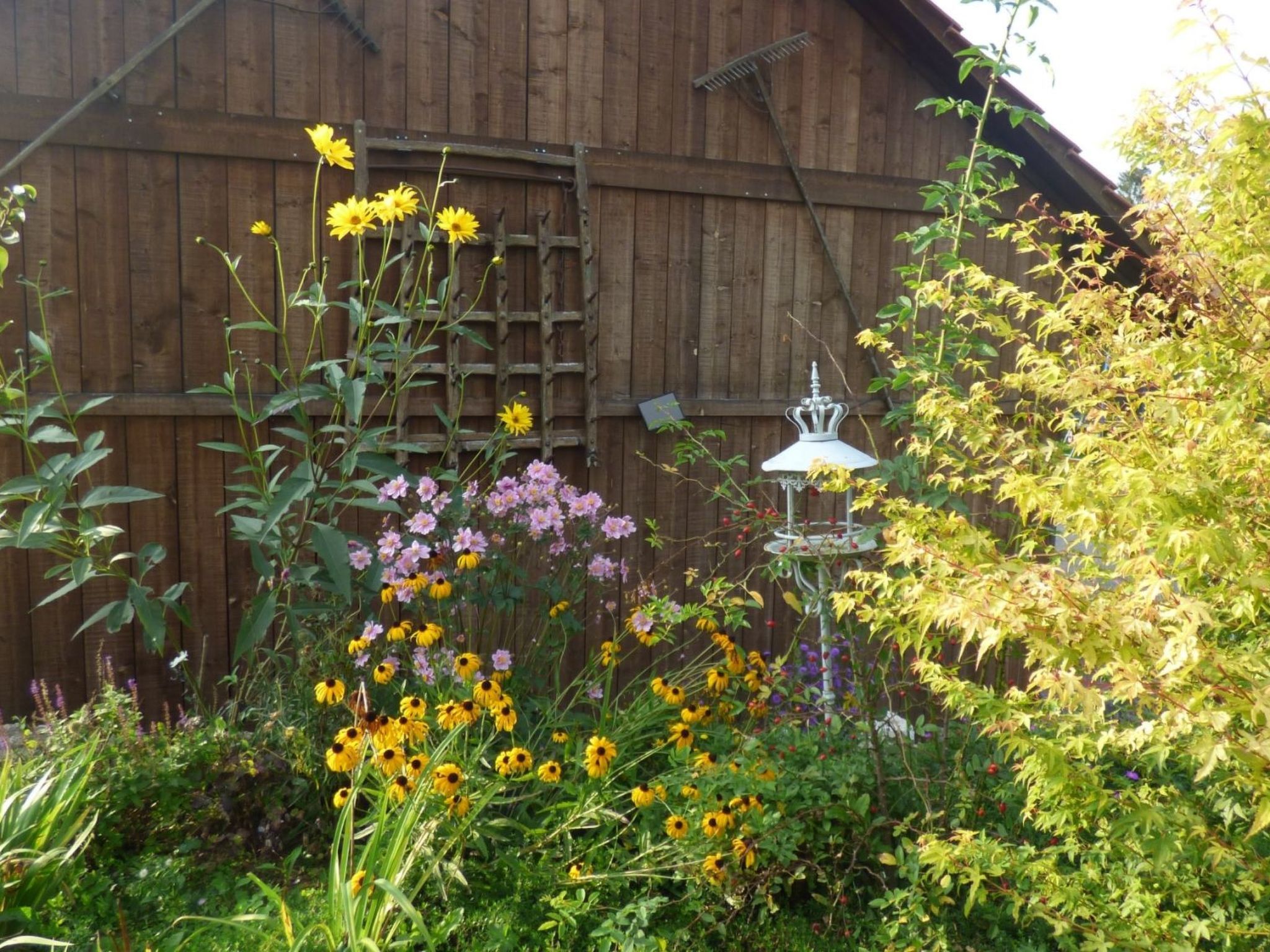 A garden with a variety of flowers and a wooden structure in the background.