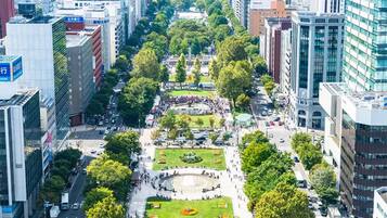 Superior Apartment | Aerial view