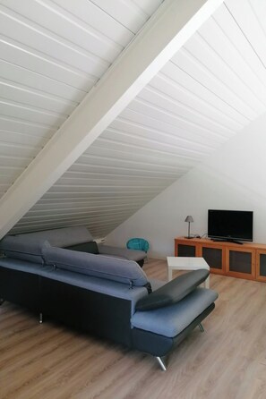 Fernseher