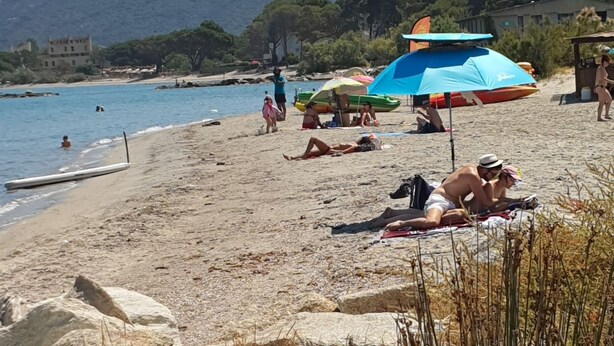 Une plage avec des tentes, un ciel dégagé et des montagnes en arrière-plan.