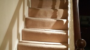 A carpeted staircase with a wooden handrail and a white banister.