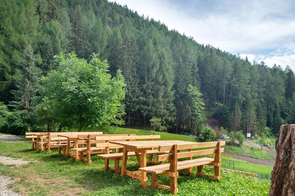 A row of wooden picnic tables in a grassy area with a forested hillside in the background.