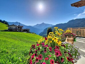 Una casa amb muntanyes al fons, un jardí ple de flors colorides i un cel serè.