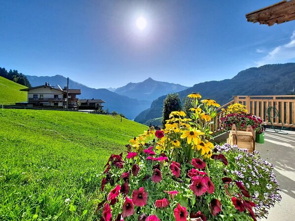Una casa con montañas al fondo, un jardín lleno de flores coloridas y un cielo despejado.