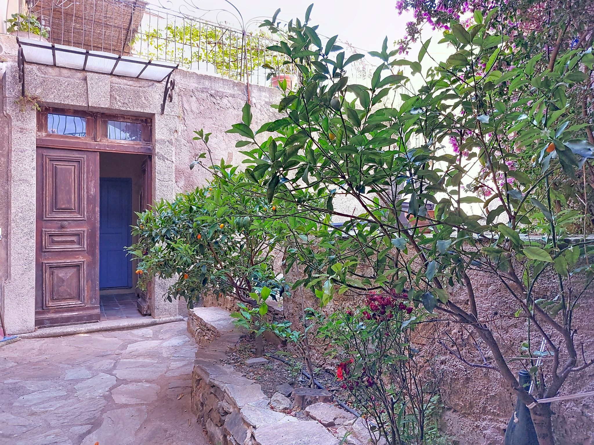 Un chemin de pierres mène à une porte en bois rustique, entourée d’une végétation luxuriante et d’un petit arbre aux fleurs rouges.