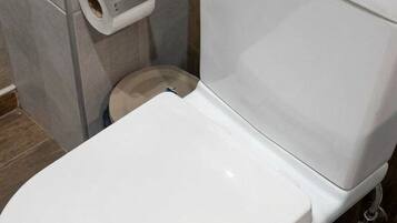 Sanitário branco com um suporte para toalhas de papel à esquerda e um rolo de papel higiênico no chão.