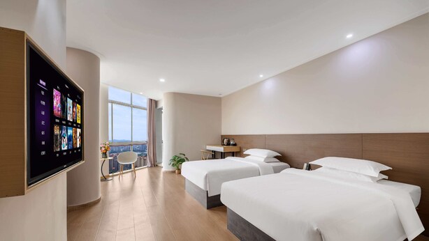 A hotel room with two beds, a TV mounted on the wall, a small table with a plant, and a view of the city.