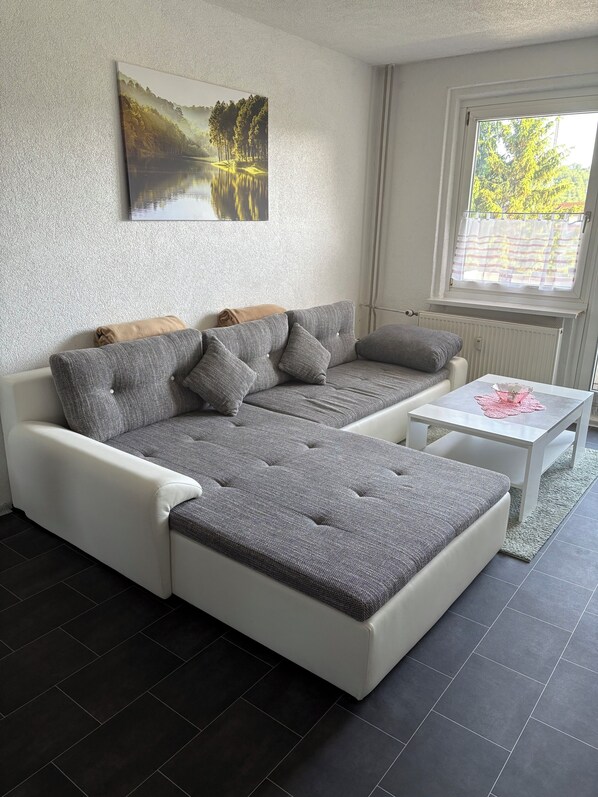 Fernseher