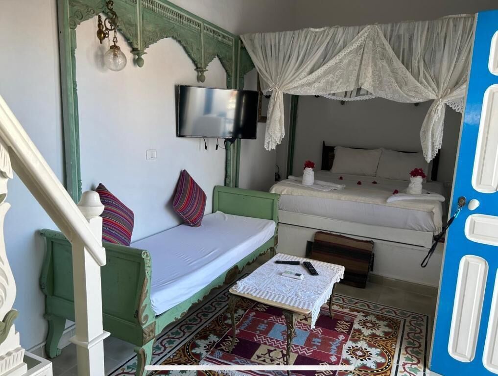A room with a green sofa, a white bed with a canopy, a television mounted on the wall, and a patterned rug.