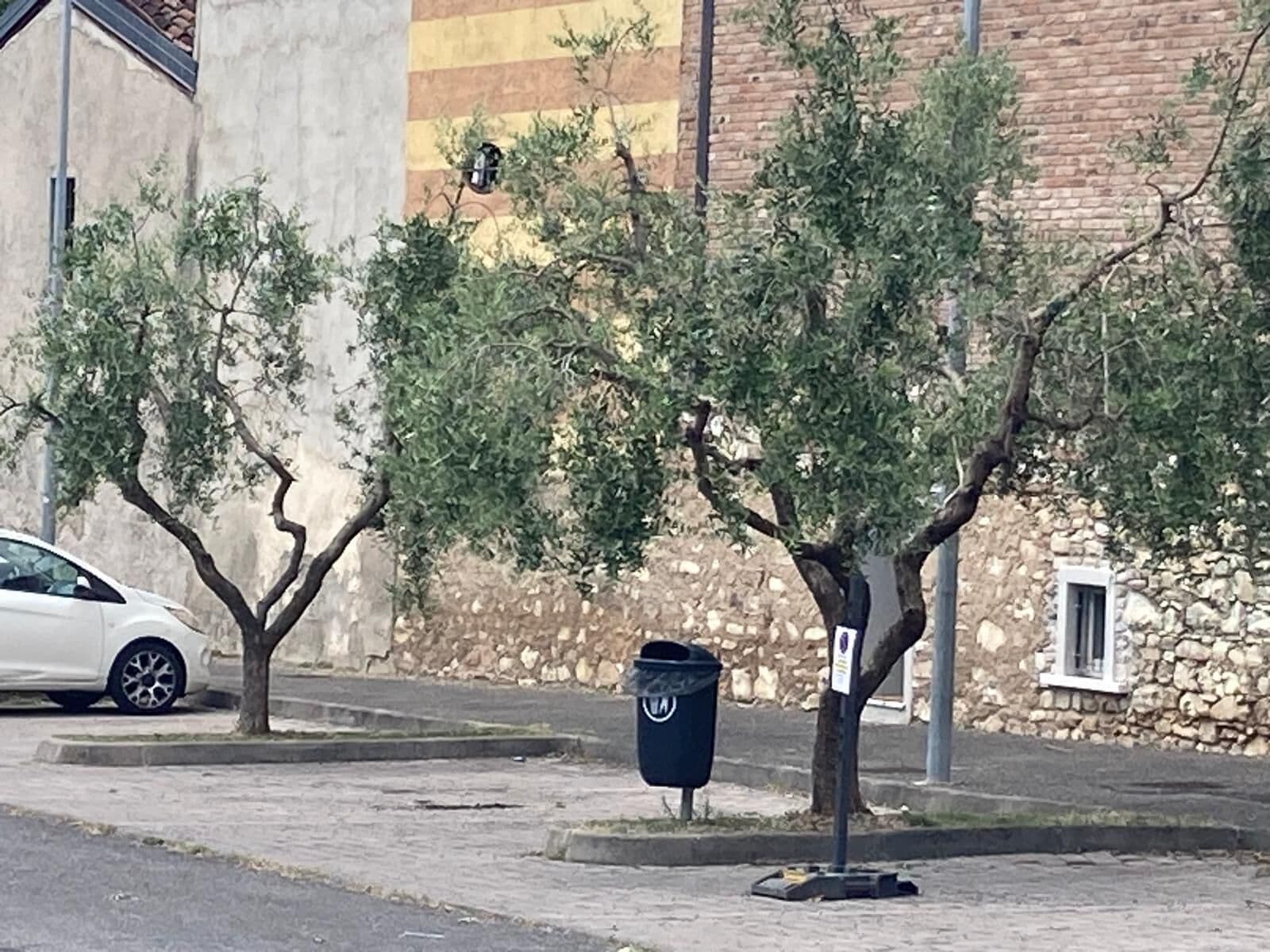 Vista de la calle con un auto estacionado, un árbol, un contenedor de basura y un edificio con muro de piedra.