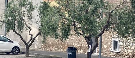 Vista de la calle con un auto estacionado, un árbol, un contenedor de basura y un edificio con muro de piedra.