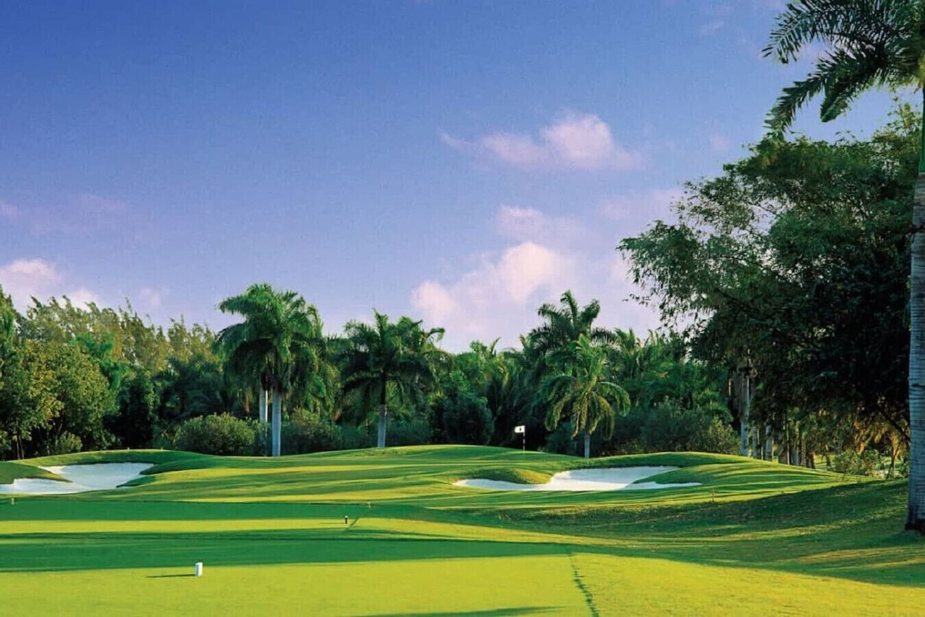 Un campo da golf con bunker di sabbia, una bandiera e palme.