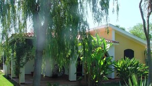 A single-story building with a porch, surrounded by lush greenery and trees. - Detached house, 2.000m² with garden, orchard. Four-room apt 123m², ground floor. (Arenella)