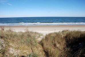 Ranta