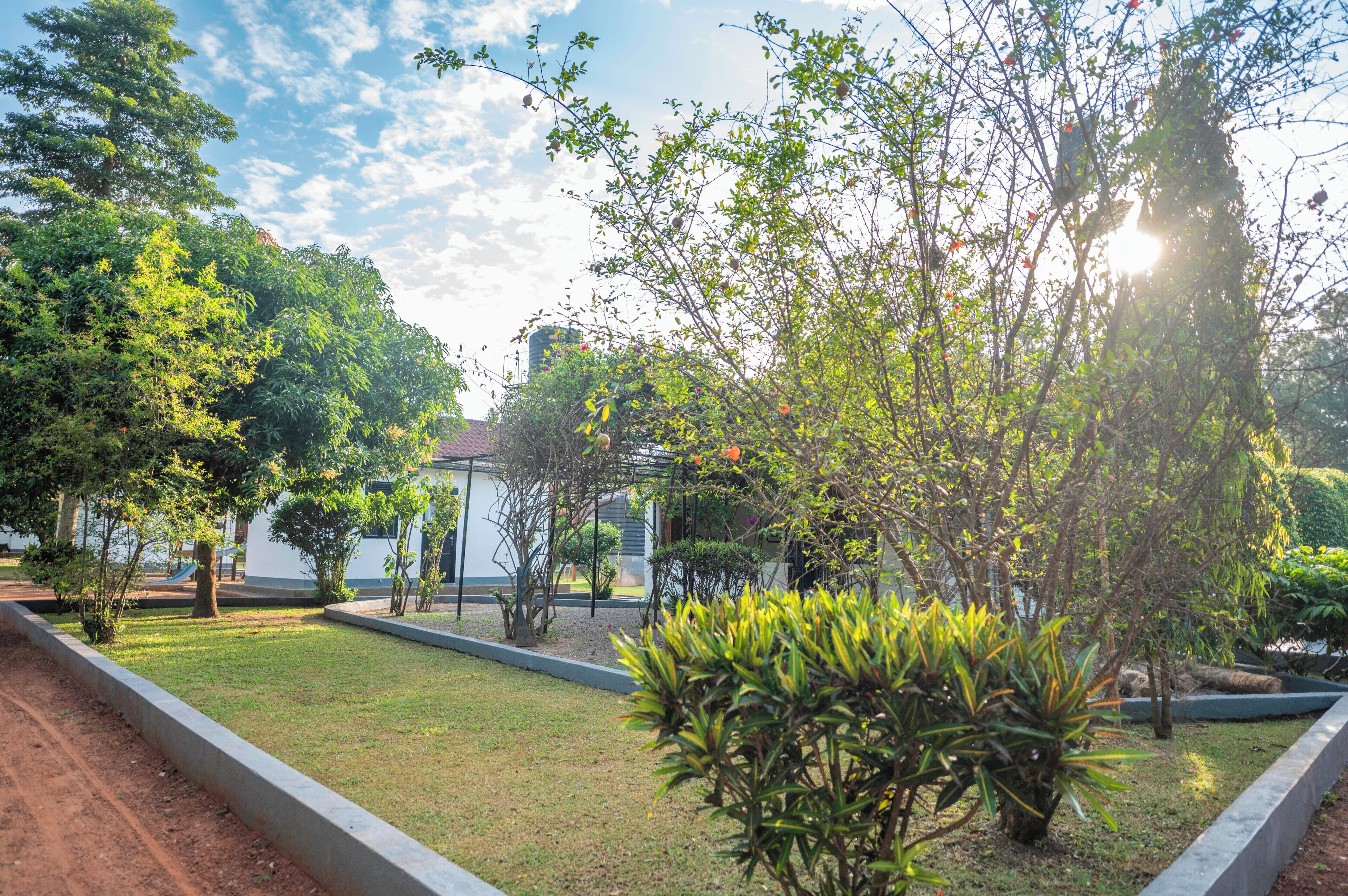 A landscaped garden with various trees and shrubs, a paved walkway, and a building in the background.