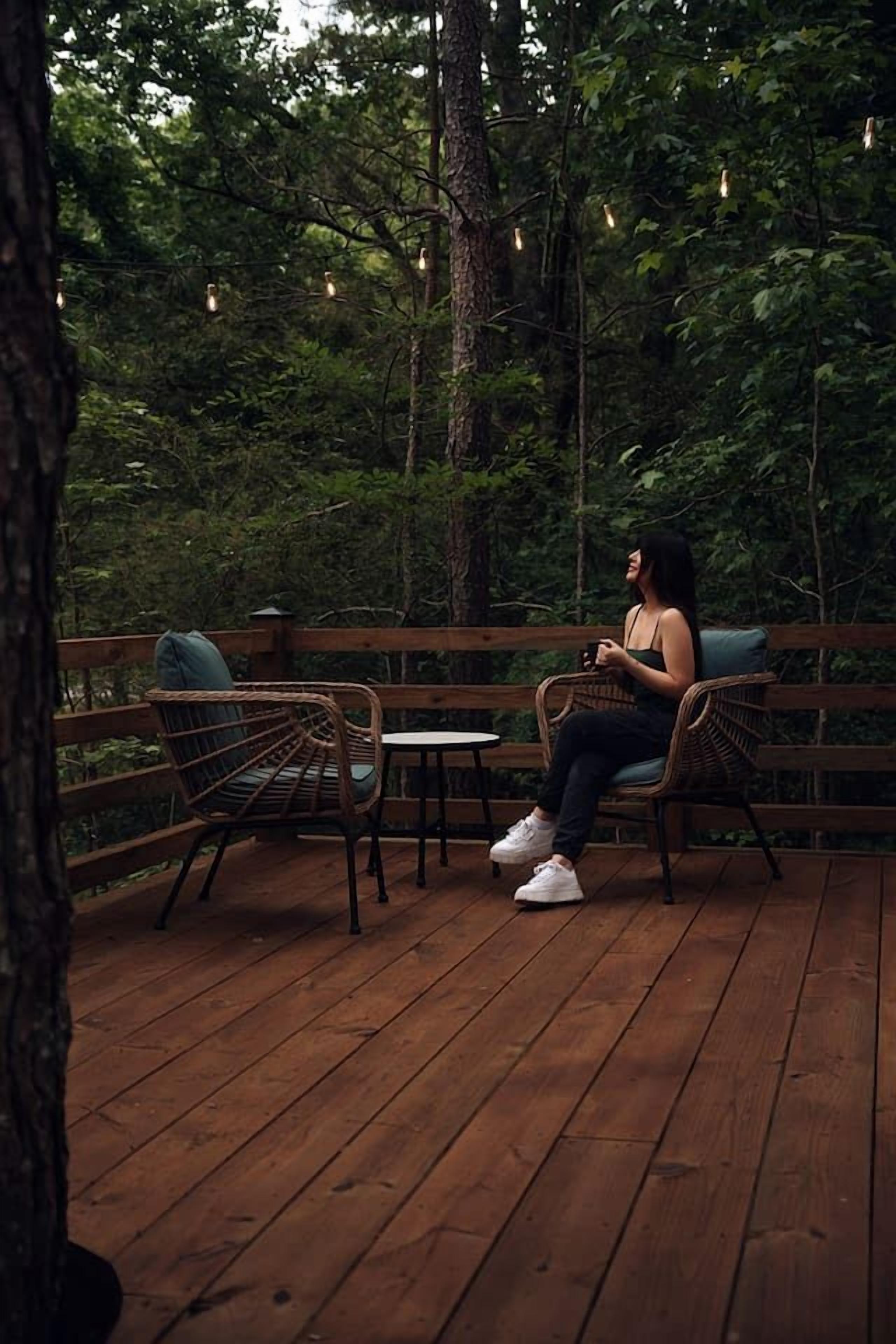 Terras