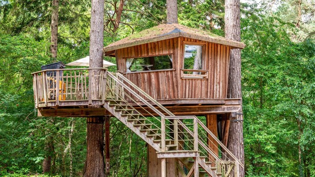 A wooden treehouse with a staircase and a small balcony. - Treehouse 'Wernerwald' with Balcony and Wi-Fi (Cuxhaven)