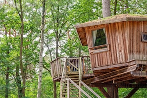 Una casa en el árbol de madera con escalera y ventana, rodeada de un bosque.