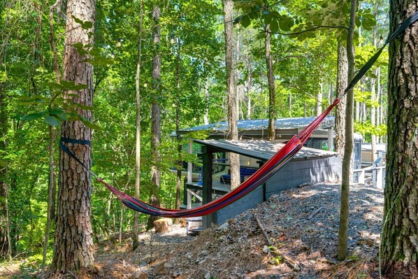 A hammock in a forest, a cabin with a metal roof, and a building with a glass facade.