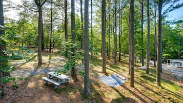 A forested campsite with a hammock, picnic table, and a paved path.