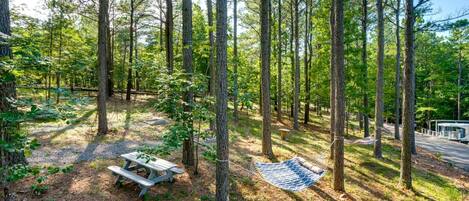 Un camping arbolado con una hamaca, una mesa de picnic y un camino pavimentado.