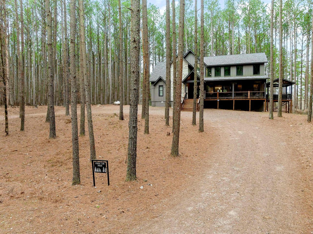 Uma cabana numa floresta com um caminho de terra que leva até ela, rodeada por árvores altas.
