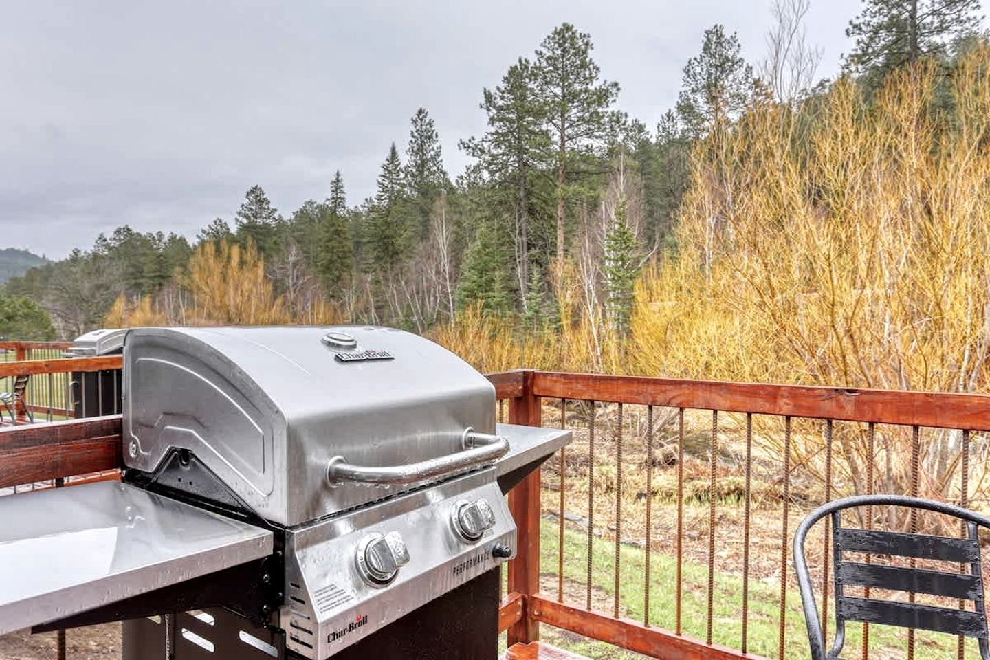 Ein Grill auf einer Terrassenanlage mit Blick auf einen Wald.