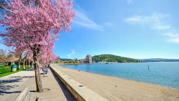 Beach nearby, sailing, fishing