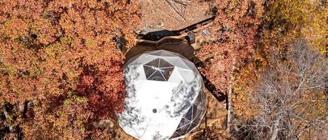 An aerial view of a dome-shaped building surrounded by autumn foliage.