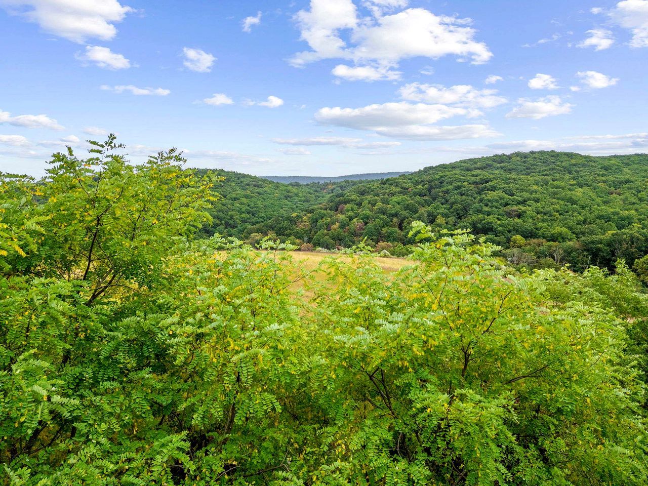 A forested landscape with a clear sky.