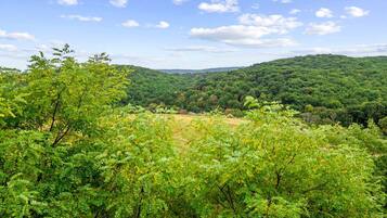 A forested landscape with a clear sky.
