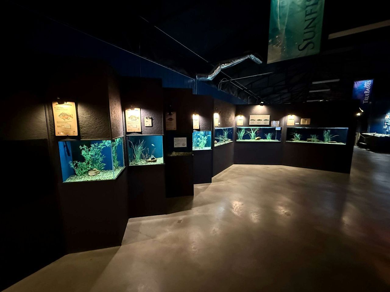 An aquarium exhibit with multiple tanks, informational plaques, and a concrete floor.
